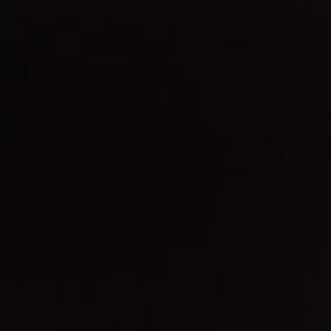 Meet your Posher, Bella